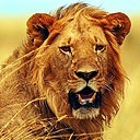 Віктор Харітонов фотография #14 (источник - https://vk.com/id120334638)