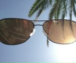 Фотография On Ant