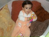 Фотография Степанянц Аревик