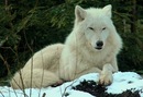 Фотография Примоченко Веры