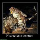 Иван Друковский фотография #26 (источник - https://vk.com/id545338)
