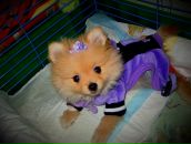 Фотография Боковой Татьяны