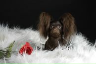 Фотография Терентьевой Ирины