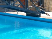 Артём Васильев фотография #7 (источник - https://vk.com/id657491)