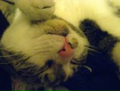 Фотография Закураевой Галины