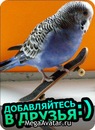 Влад Яців фотография #27 (источник - https://vk.com/id150846120)