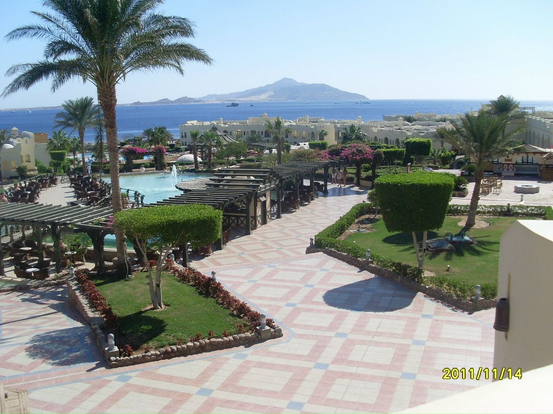 Рома Тихоненко фотография #44