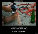 Чак Норріс фотография #3 (источник - https://vk.com/id179497271)