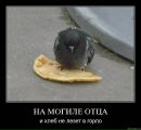Фотография Полунина Павла