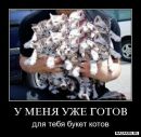 Фотография Проден Екатерины