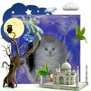 Фотография Переверзевой Елены