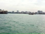 Фотография Смирнова Филиппа