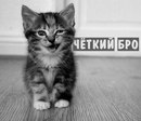 Ростік Підгорний фотография #20 (источник - https://vk.com/id118634977)