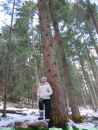 Ірина Дубина фотография #16 (источник - https://vk.com/id129443026)