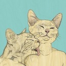 Андрей Ткаченко фотография #22 (источник - https://vk.com/id2694544)