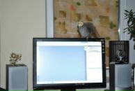 Віталій Грушецький фотография #32 (источник - https://vk.com/id60726593)