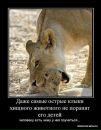 Ірина Яворська фотография #47 (источник - https://vk.com/id143432156)