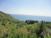 Андрей Тарасенко фотография #21 (источник - https://vk.com/id12523765)