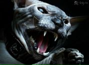 Ренат Сафаров фотография #26 (источник - https://vk.com/id205177)