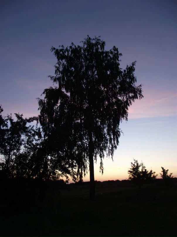 Антон Козаченко фотография #49