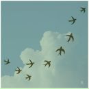 Фотография Ермакова Алексея