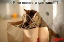 Фотография Никита Ерашев