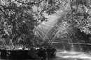 Иван Платов фотография #17 (источник - https://vk.com/id3140663)