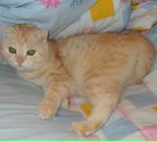 Фотография Викторовой Александры