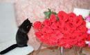 Фотография Зеленской Марины