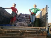 Надя Півторак фотография #14 (источник - https://vk.com/id138802197)