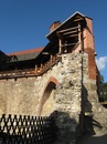 Аліса Щербакова фотография #10 (источник - https://vk.com/id136224056)