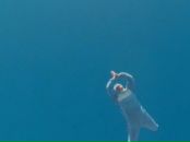 Фотография Трафедлюка Сергея