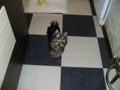 Фотография Дигоевой Эллы