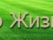 Віталій Процак фотография #12 (источник - https://vk.com/id63779434)