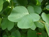 Фотография Пушняковой Оли