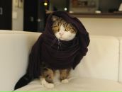 Фотография Моисеевой Татьяны