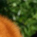 Діма Стоцький фотография #20 (источник - https://vk.com/id78186447)