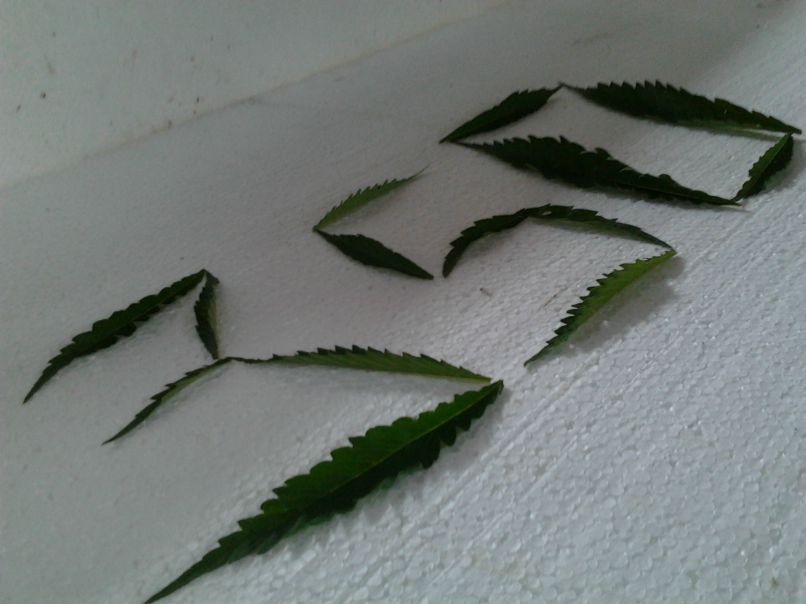 Три Ноль фотография #4