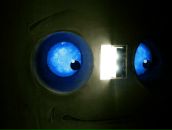 Фотография Чернопольского Алексея