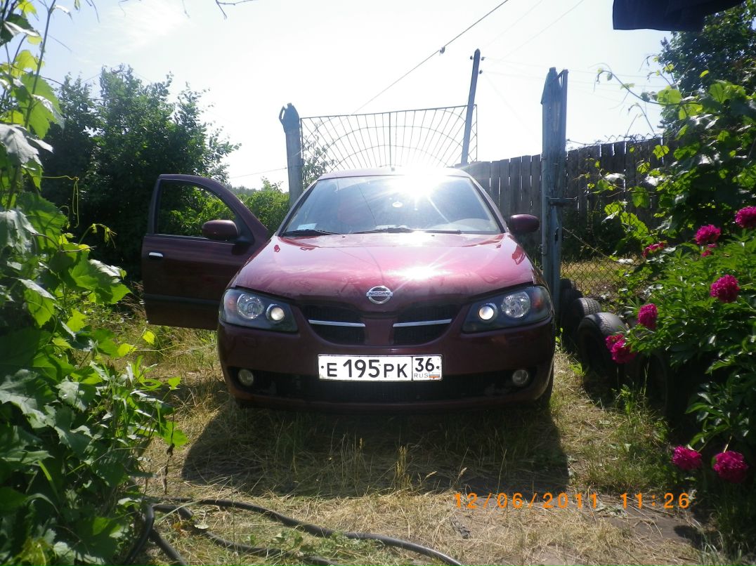 Санёк Болдырихин фотография #21