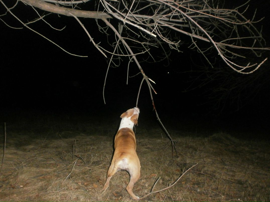 Роман Василенко фотография #46