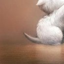 Дзвіночка Кубай фотография #41 (источник - https://vk.com/id147166675)