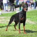 Дмитрий Васильев фотография #23 (источник - https://vk.com/id1750502)