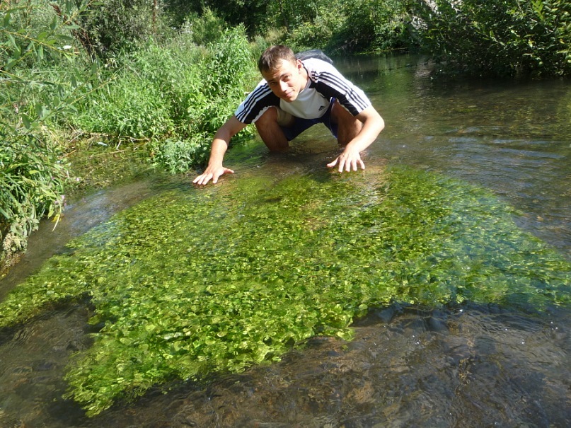 Владислав Кубышкин фотография #15