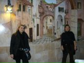 Віта Никитюк фотография #44 (источник - https://vk.com/id123402305)