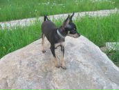 Фотография Бархиянца Аликса