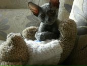 Фотография Федоров Алексей