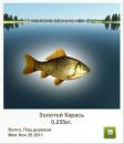Ваня Бортнік фотография #49 (источник - https://vk.com/id146191425)