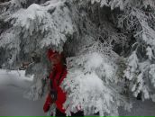 Віра Петришин фотография #14 (источник - https://vk.com/id57098363)