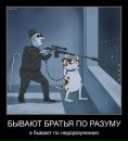 Денис Цветков фотография #29 (источник - https://vk.com/id2893261)
